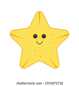 starfish vector flat color icon 