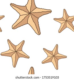 Starfish vector graphic template without background.