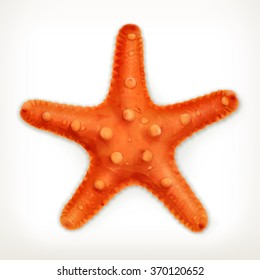Starfish, vector icon