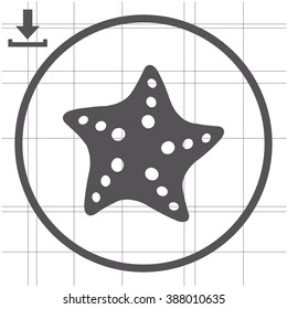 Starfish vector icon.