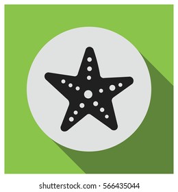 Starfish vector icon