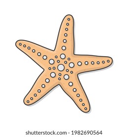 Starfish Vector Icon Illustration. Starfish Sea Shell Flat Icon