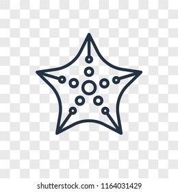 Starfish vector icon isolated on transparent background, Starfish logo concept