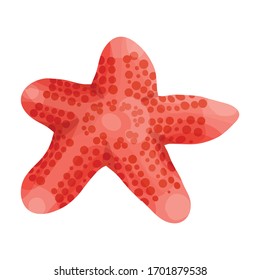 Starfish vector icon.Cartoon vector icon isolated on white background starfish.