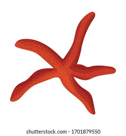 Icono vector estelar.Icono vectorial de caricatura aislado en estrella de fondo blanco.