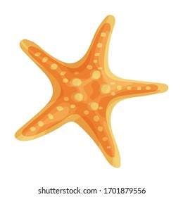 Starfish vector icon.Cartoon vector icon isolated on white background starfish.