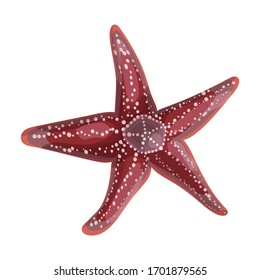 Starfish vector icon.Cartoon vector icon isolated on white background starfish.