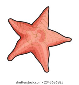 Starfish vector icon.Color vector icon isolated on white background starfish.