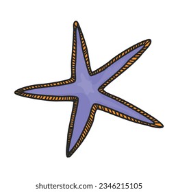 Starfish vector icon.Color vector icon isolated on white background starfish.