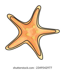 Starfish vector icon.Color vector icon isolated on white background starfish.