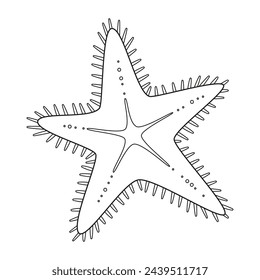 Starfish vector illustration. Black and white outline Starfish Coloring page for kids and adults. Page for relaxation and meditation. Vector illustration