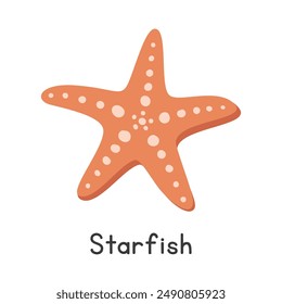 Starfish vector illustration. Cute common starfish cartoon clipart, animal in flat style. Sea animals, underwater creatures, ocean animals, marine life concept. Orange starfish vector design isolated