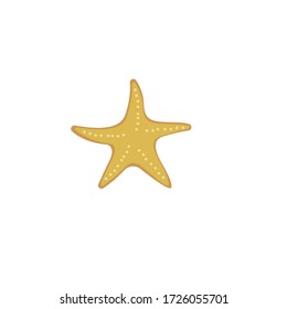 starfish vector illustration design template