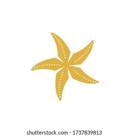 plantilla de diseño de ilustración de vector starfish