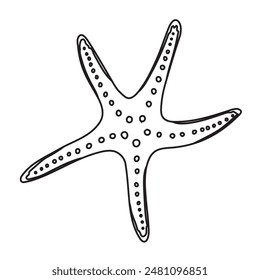 Starfish Vector illustration. Hand drawn sea Star Fish. Linear Drawing of seashell for design in nautical style. Outline Sketch of marine seashore for icon or logo. Black etching of underwater element