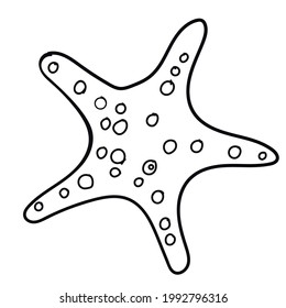 Ilustración vectorial Starfish aislada en fondo blanco