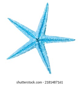 Starfish vector illustration Oceanic