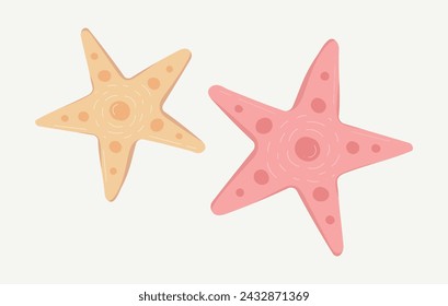 starfish vector illustration perfect for summer beach