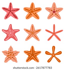 Starfish vector illustration set. Various sea animals. Ocean. Tropical beach. Colorful summer vacation design elements for print design. Modern, label, menu cover, icon. Flat vector illustration.
