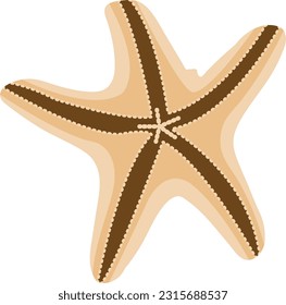 Starfish Vector image or clipart