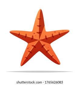 Starfish vector isolated illustration design