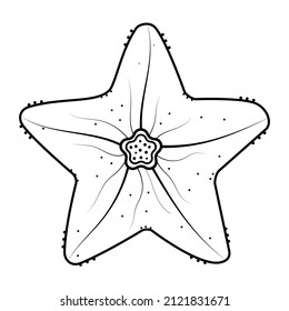 The starfish. Vector monochrome isolated image on a white background. Linear illustration. EPS 10