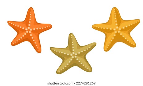 Starfish-Vektorset, Sommerdesign-Element, Symbol, Aufkleber, Druck, einzeln auf weißem Hintergrund.