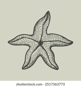 Estrella de mar estilo vintage. Dibujado a mano. Aislado. Ilustración vectorial.