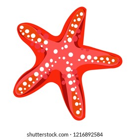 Starfish is in the white background.