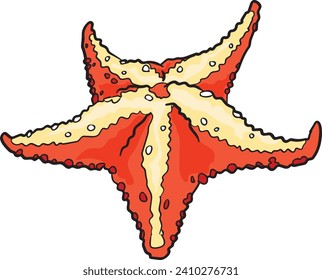 Starfish Wild Animal Vector Illustration