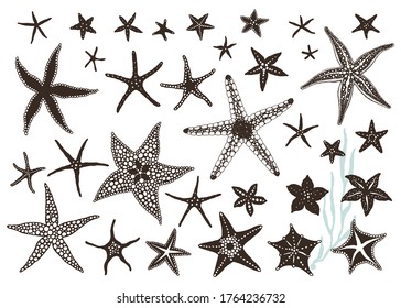 Starfishes hand drawn set, big vector collection design sea stars. Emblem, decor, symbol sea or beach, isolated silhouette on white background.