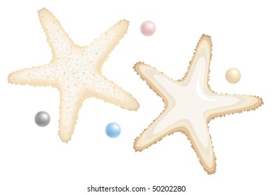 Starfishes and Perls - Design Elements