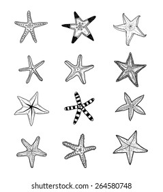 Starfishes set .hand drawn Vector Illustration