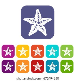 Starfishicons set vector illustration in flat style In colors red, blue, green and other