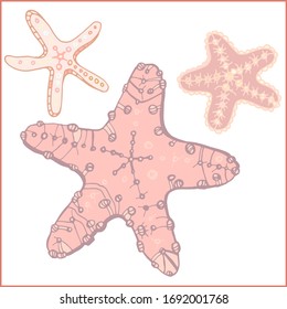 Starfishs vector graphic sketch handdraw 