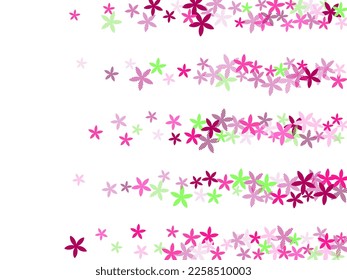 Starflower stylized flowers vector design. Tiny garden blossom elements isolated. Hinamatsuri Girl's Day pattern. Modern flowers Starflower minimal bloom. Striped petals.