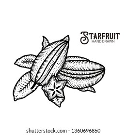 Starfruit Hand Drawn