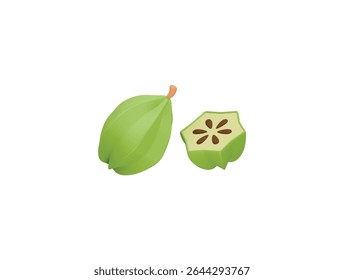 starfruit icon 3d illustration render