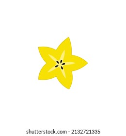 Starfruit icon design template vector isolated illustration