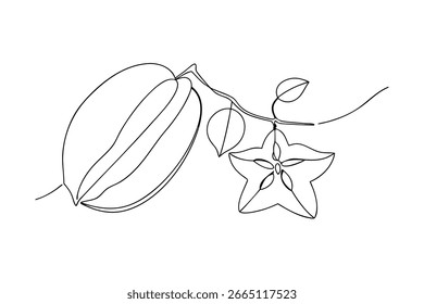 Starfruit on branch continuous line drawing carambola