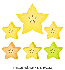 Starfruit slice isolated on white background. Vector illustration of carambola.