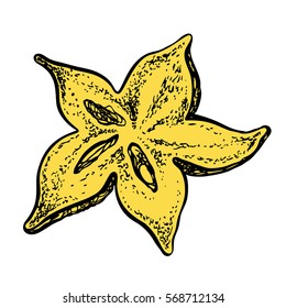 Starfruit. Vector hand drawn illustration. Sketchy style.