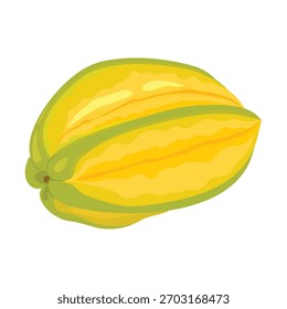Starfruit. Vector illustration. Highlights and shadows. Isolated on white background.