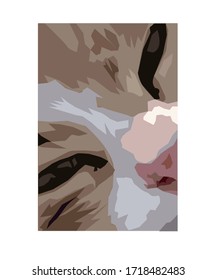 staring cat graphic vector work