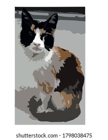 staring cat graphic vector work