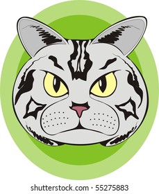 Staring light gray on green cat face color vector illustration