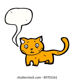 staring little cat with speech bubble