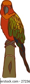 Staring Parrot