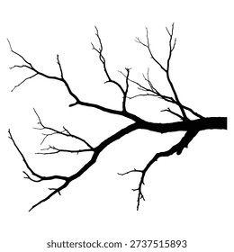 A stark black silhouette of bare tree branches against a pure white background.