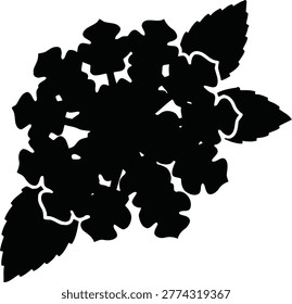 A stark black silhouette of a hydrangea flower cluster with two leaves against a white background.